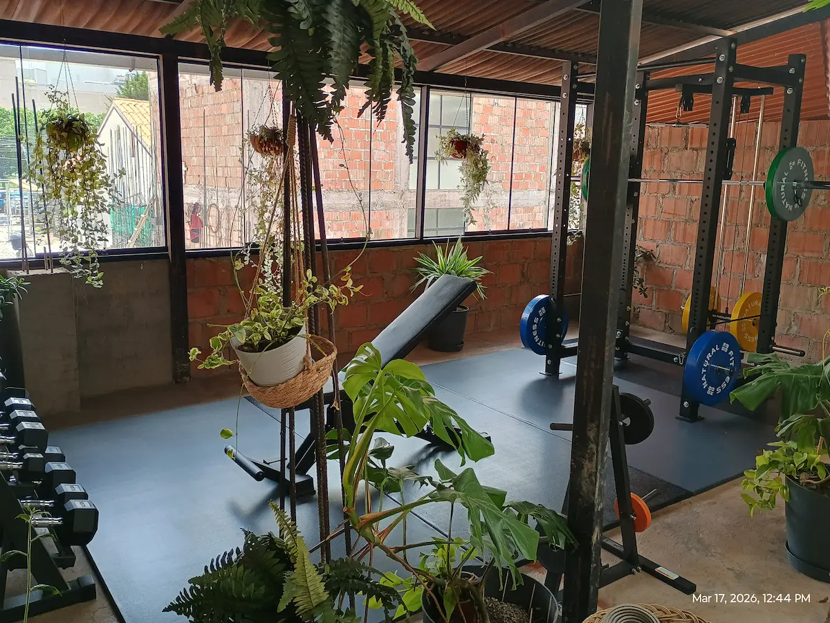 Gimnasio con luz natural y plantas